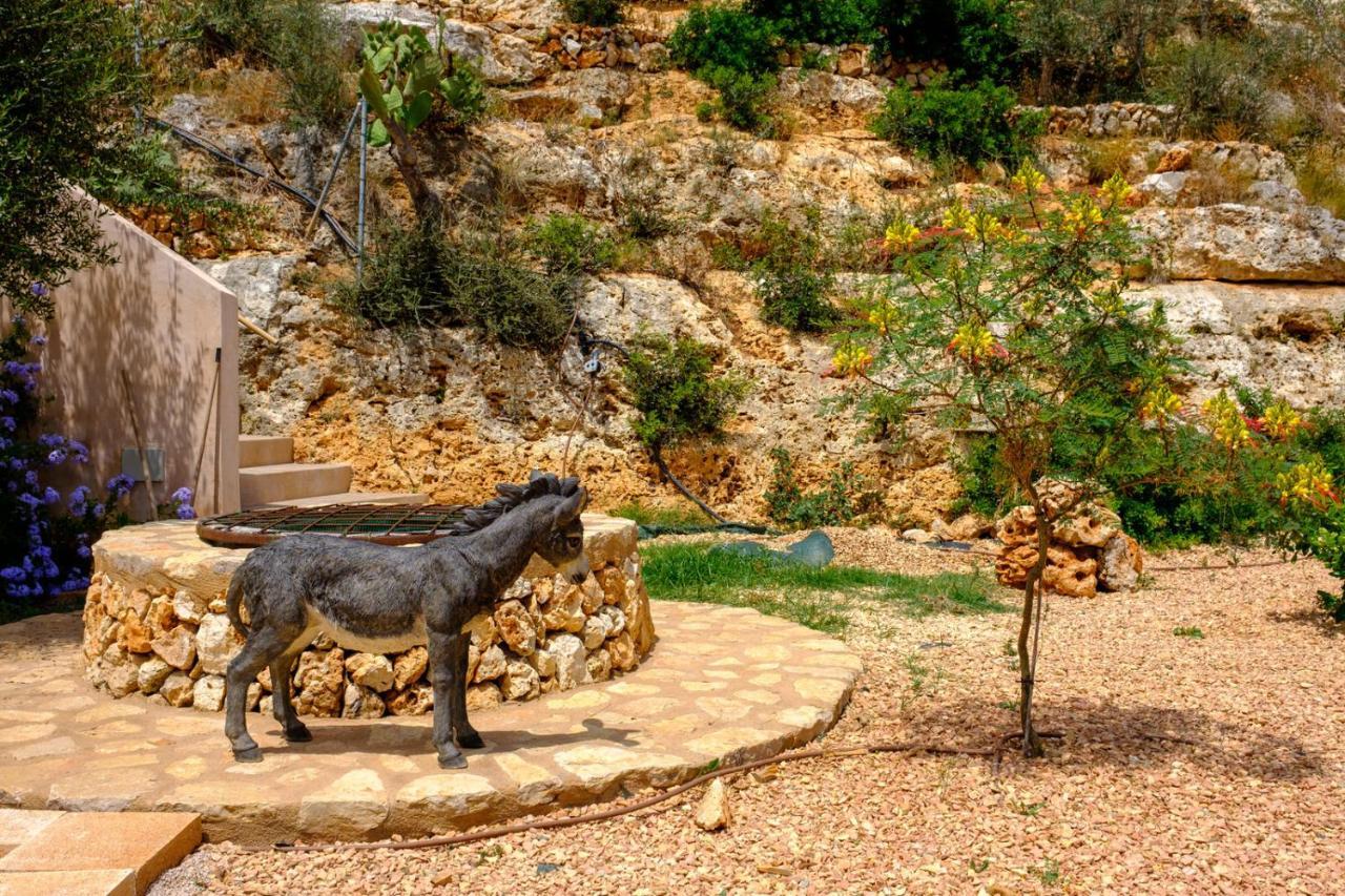 Castell Des Paradis Портопетро Экстерьер фото